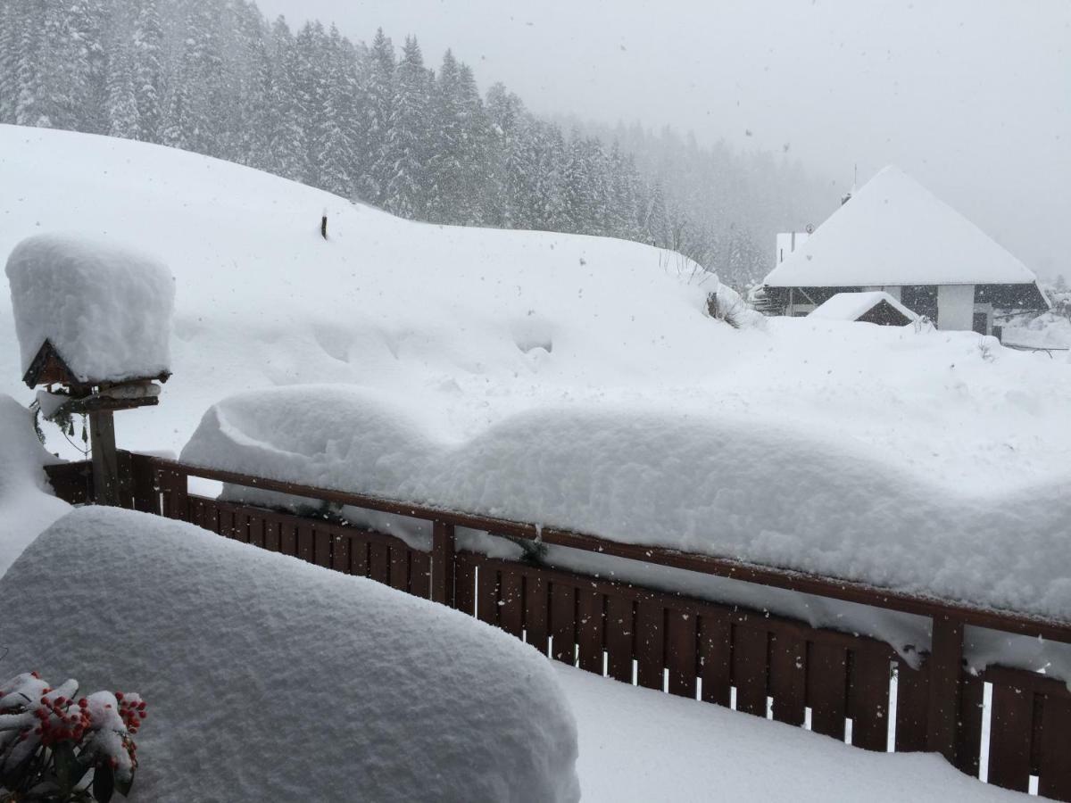 Café - Bernreutehof * Vöhrenbach